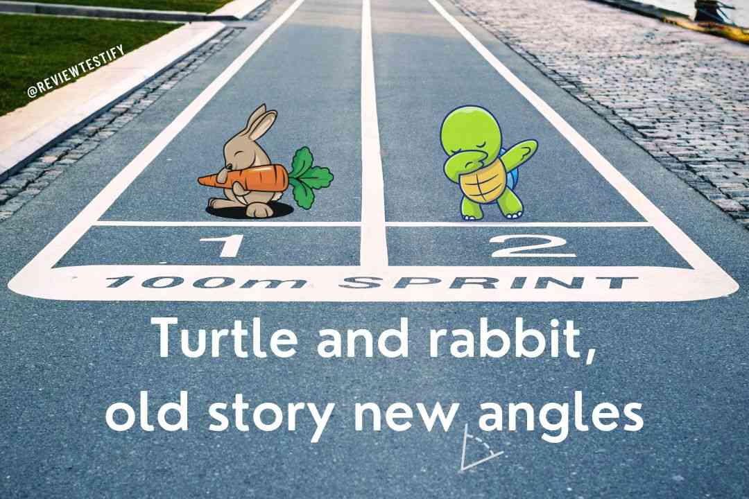 You are currently viewing Turtle and rabbit, old story new angles